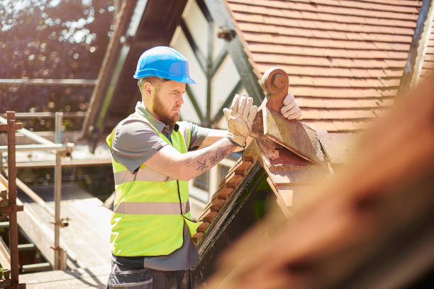 Best Gutter Installation and Roofing  in Slayton, MN